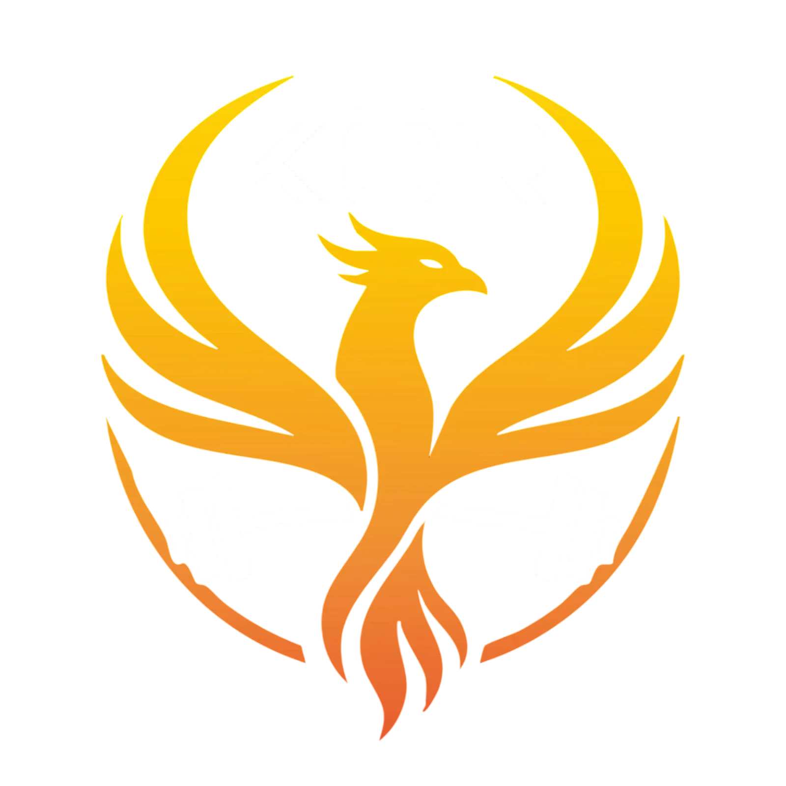 KOR Entrenamiento Personalizado